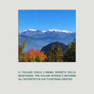 C'è un mese in cui la Valle d'Aosta svela il suo lato più intimo, quasi sussurrato. Ottobre.È qui, in questo "Posto del Cuore", che le montagne si tingono di un'intensità quasi mistica, dove il rosso fuoco e l'oro antico del foliage trasformano ogni bosco in una scenografia da fiaba. E poi c'è quel piccolo santuario incastonato nella roccia, un simbolo di pace e resilienza che emerge quasi dal nulla.È il richiamo di un'autenticità che si nasconde nei dettagli: nel fruscio delle foglie sotto i piedi, nel silenzio interrotto solo dal vento, nelle vedute mozzafiato che ti rubano il fiato e ti lasciano un'emozione profonda.Non è solo un paesaggio, è un'esperienza che ti entra dentro, un rifugio per l'anima che solo qui puoi trovare. ✨Qual è il dettaglio che, in questo periodo, accende il vostro "posto del cuore" in montagna? Condividetelo nei commenti! 👇🏡 #maisodutatà💙 #accoglienzasicura 🏡🏡🏡🏡🏡#ilpostodelcuore #ottobrevaldostano #autunnointenso #richiamodellamontagna #atmosferamagica #foliagevalledaosta #sentieridellanima #scoperteemozionali #vivereautentico #segretidimontagna #valledaostadaamare #paceeintrospezione #esplorarelanatura #viaggiointeriore #montagnadiemozioni #angolisegreti #bellezzaautunnale #respirare #paesaggiincantati
