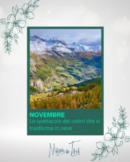 Novembre: Un Inno alla Metamorfosi. 🏔️🍂❄️Non perdere l'attimo in cui la montagna si veste per l'inverno. Novembre è il mese più magico in Valle d'Aosta: è lo spettacolo mozzafiato dei colori dorati e rossi che, in un respiro, si preparano a cedere il passo al silenzio ovattato della prima neve.Questo è il momento ideale per rifugiarsi a Maison du Tatà. Mentre fuori il paesaggio si trasforma in un quadro di luce e attesa, tu puoi goderti la calda intimità dei nostri appartamenti.Immagina: la tranquillità del mattino, una tazza calda tra le mani, e la magia della natura che cambia, osservata dalla tua finestra. Qui, il tempo rallenta e ogni momento è un lusso.Vieni a vivere la poesia di questa transizione, prima che tutto diventi bianco. Un'esperienza di pura autenticità e calore ti aspetta.➡️ Prenota ora il tuo angolo di pace per novembre e assicurati un posto in prima fila per il grande spettacolo. Link in bio!🏡 #maisodutatà💙 #accoglienzasicura🏡🏡🏡🏡🏡#novembrevaldostano #metamorfosidellanatura #antesignana #primaneve #valledaosta #autunnoinverno #montagnadiattesa #scoprilavalledaosta #vacanzedicharme #coloriamoscatura #intimità #chaletexperience #turismoslow #prenotaora #viaggioautentico #atmosferamagica #lagrandebellezza
