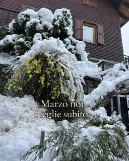 𝐌𝐚𝐫𝐳𝐨 𝐢𝐧 𝐦𝐨𝐧𝐭𝐚𝐠𝐧𝐚 𝐧𝐨𝐧 𝐬𝐞𝐦𝐩𝐫𝐞 𝐬𝐚 𝐜𝐨𝐬𝐚 𝐯𝐮𝐨𝐥𝐞 𝐞𝐬𝐬𝐞𝐫𝐞.𝑄𝑢𝑒𝑠𝑡𝑎 𝑚𝑎𝑡𝑡𝑖𝑛𝑎 𝑐𝑖 𝑠𝑖𝑎𝑚𝑜 𝑠𝑣𝑒𝑔𝑙𝑖𝑎𝑡𝑖 𝑐𝑜𝑠𝑖̀.Il giardino di nuovo bianco.Gli alberi pieni di neve.Il silenzio che torna per qualche ora.E in mezzo, i primi fiori.Marzo qui non &egrave; una linea retta.&Egrave; un passaggio.Un giorno l&rsquo;aria cambia.Il giorno dopo l&rsquo;inverno torna a salutare.La montagna non ha fretta di diventare primavera.E forse &egrave; proprio questo il suo modo di insegnarci qualcosa.Non tutto deve cambiare subito.A volte basta sentire che qualcosa si sta muovendo.𝑻𝒖 𝒄𝒐𝒎𝒆 𝒊𝒎𝒎𝒂𝒈𝒊𝒏𝒊 𝒎𝒂𝒓𝒛𝒐 𝒊𝒏 𝒎𝒐𝒏𝒕𝒂𝒈𝒏𝒂?𝑷𝒊𝒖̀ 𝒊𝒏𝒗𝒆𝒓𝒏𝒐 𝒐 𝒈𝒊𝒂̀ 𝒑𝒓𝒊𝒎𝒂𝒗𝒆𝒓𝒂?#MaisonDuTat&agrave; #ValleDAosta #AostaValley #AnteySaintAndr&eacute; #MontagnaVera#MontagnaItaliana #VivereLaMontagna #RespiraLaMontagna #Tempolento #RitmiLenti #SlowLivingItaly #SlowTravelItaly #LuoghiDellAnima #LussoDiscreto
